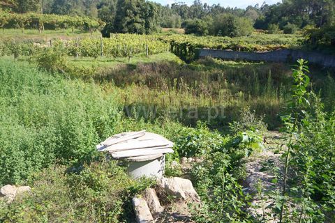 Helårsgrund i Barcelos, Braga, Barcelos - € 110.000 | Ref: 254240332 - foto 4