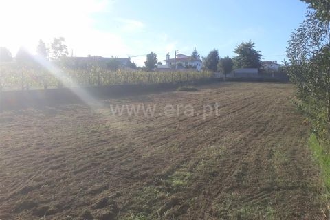 Helårsgrund i Barcelos, Braga, Barcelos - € 83.000 | Ref: 254240235 - foto 2