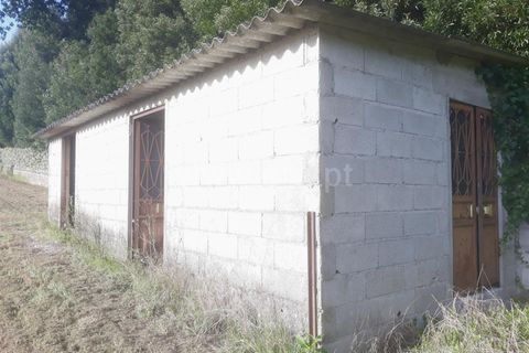 Helårsgrund i Barcelos, Braga, Barcelos - € 83.000 | Ref: 254240235 - foto 3