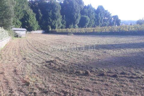 Helårsgrund i Barcelos, Braga, Barcelos - € 83.000 | Ref: 254240235 - foto 4