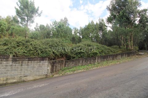 Helårsgrund i Barcelos, Braga, Barcelos - € 200.000 | Ref: 254240333 - foto 2