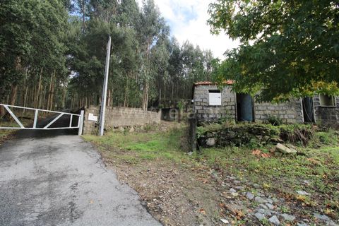 Helårsgrund i Barcelos, Braga, Barcelos - € 200.000 | Ref: 254240333 - foto 3
