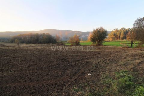 Helårsgrund i Barcelos, Braga, Barcelos - € 48.000 | Ref: 254200354 - foto 3