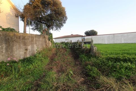 Helårsgrund i Barcelos, Braga, Barcelos - € 48.000 | Ref: 254200354 - foto 4