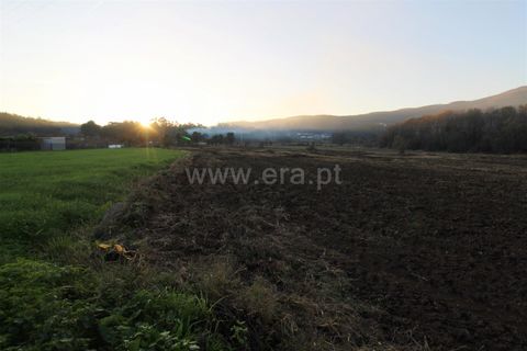 Helårsgrund i Barcelos, Braga, Barcelos - € 48.000 | Ref: 254200354 - foto 5