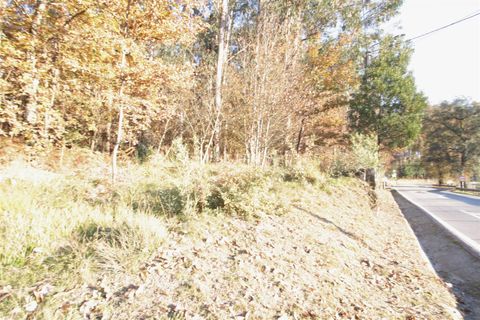 Helårsgrund i Barcelos, Braga, Barcelos - € 39.500 | Ref: 254210280 - foto 4