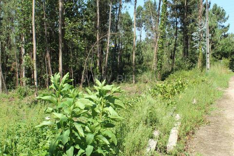 Helårsgrund i Barcelos, Braga, Barcelos - € 86.000 | Ref: 254240327 - foto 3