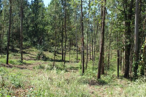 Helårsgrund i Barcelos, Braga, Barcelos - € 86.000 | Ref: 254240327 - foto 6
