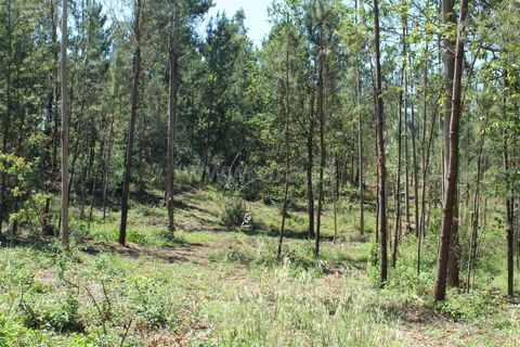 Helårsgrund i Barcelos, Braga, Barcelos - € 86.000 | Ref: 254240327 - foto 7
