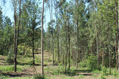 Helårsgrund i Barcelos, Braga, Barcelos - € 120.000 | Ref: 254240340 - foto 3