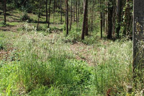 Helårsgrund i Barcelos, Braga, Barcelos - € 120.000 | Ref: 254240340 - foto 8