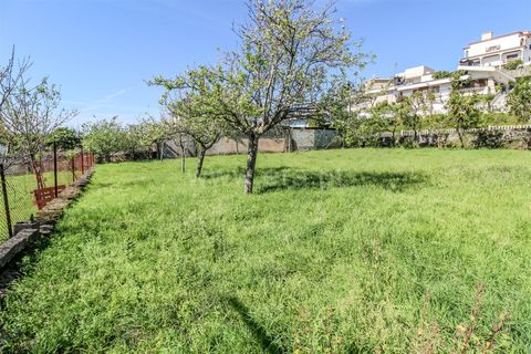 Helårsgrund i Barcelos, Braga, Barcelos - € 98.000 | Ref: 254240338 - foto 4