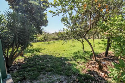 Helårsgrund i Barcelos, Braga, Barcelos - € 98.000 | Ref: 254240338 - foto 6