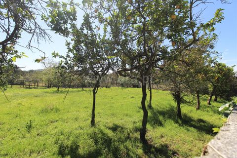 Helårsgrund i Barcelos, Braga, Barcelos - € 98.000 | Ref: 254240338 - foto 7