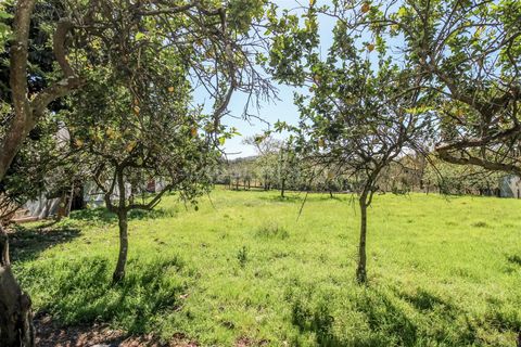 Helårsgrund i Barcelos, Braga, Barcelos - € 98.000 | Ref: 254240338 - foto 8