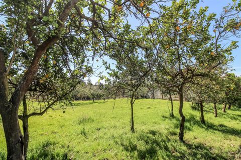 Helårsgrund i Barcelos, Braga, Barcelos - € 98.000 | Ref: 254240338 - foto 10