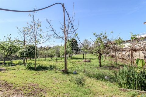 Helårsgrund i Barcelos, Braga, Barcelos - € 173.000 | Ref: 254240339 - foto 3