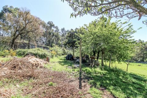 Helårsgrund i Barcelos, Braga, Barcelos - € 173.000 | Ref: 254240339 - foto 5