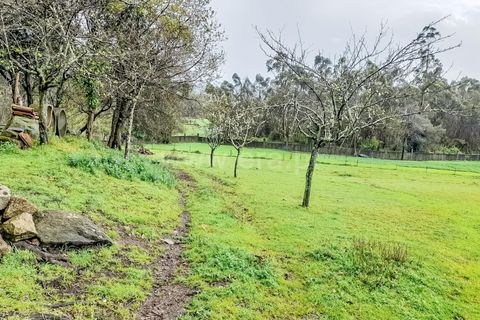 Helårsgrund i Barcelos, Braga, Barcelos - € 173.000 | Ref: 254240339 - foto 7