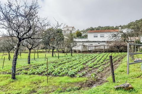 Helårsgrund i Barcelos, Braga, Barcelos - € 173.000 | Ref: 254240339 - foto 9