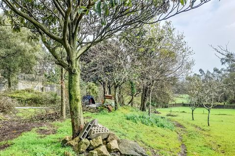 Helårsgrund i Barcelos, Braga, Barcelos - € 173.000 | Ref: 254240339 - foto 11