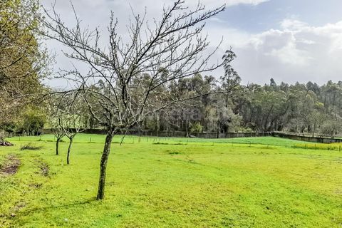 Helårsgrund i Barcelos, Braga, Barcelos - € 173.000 | Ref: 254240339 - foto 12