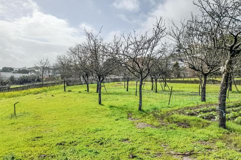 Helårsgrund i Barcelos, Braga, Barcelos - € 173.000 | Ref: 254240339 - foto 13