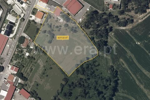 Helårsgrund i Barcelos, Braga, Barcelos - € 173.000 | Ref: 254240339 - foto 14