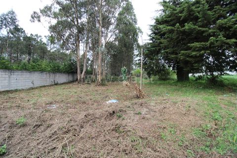 Helårsgrund i Barcelos, Braga, Barcelos - € 49.500 | Ref: 254240320 - foto 2