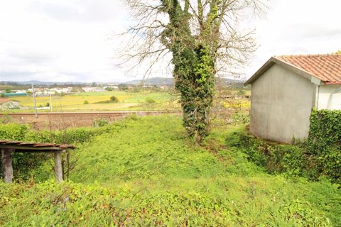 Byhus i Barcelos, Braga, Barcelos - € 87.000 | Ref: 254220103 - foto 5