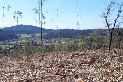 Helårsgrund i Barcelos, Braga, Barcelos - € 162.000 | Ref: 254210072 - foto 3