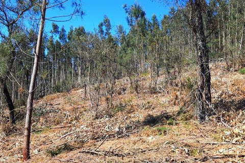 Helårsgrund i Barcelos, Braga, Barcelos - € 162.000 | Ref: 254210072 - foto 7
