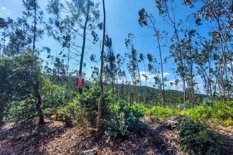 Helårsgrund i Barcelos, Braga, Barcelos - € 320.000 | Ref: 254250159 - foto 4