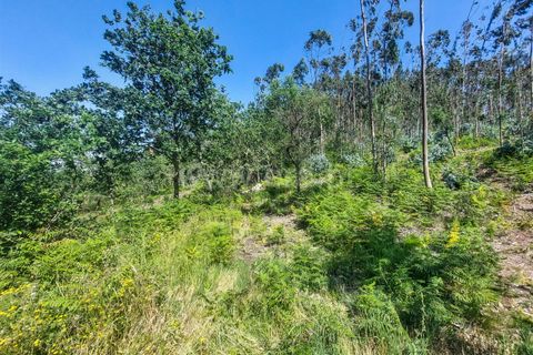 Helårsgrund i Barcelos, Braga, Barcelos - € 320.000 | Ref: 254250159 - foto 7