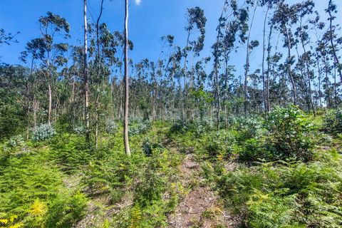 Helårsgrund i Barcelos, Braga, Barcelos - € 320.000 | Ref: 254250159 - foto 9