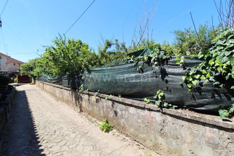 Helårsgrund i Barcelos, Braga, Barcelos - € 85.000 | Ref: 254210130 - foto 4