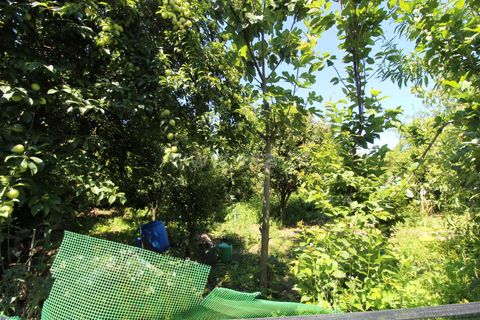 Helårsgrund i Barcelos, Braga, Barcelos - € 85.000 | Ref: 254210130 - foto 7
