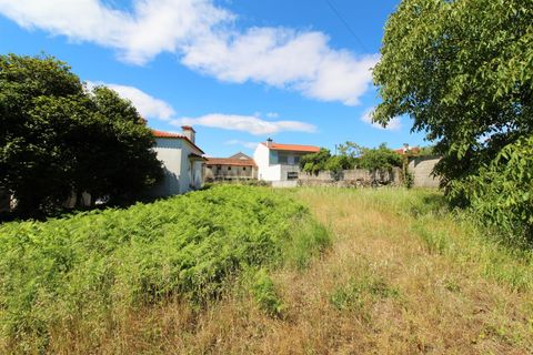 Villa i Barcelos, Braga, Barcelos - € 575.000 | Ref: 254210132 - foto 3