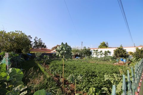 Helårsgrund i Barcelos, Braga, Barcelos - € 88.000 | Ref: 254240143 - foto 3