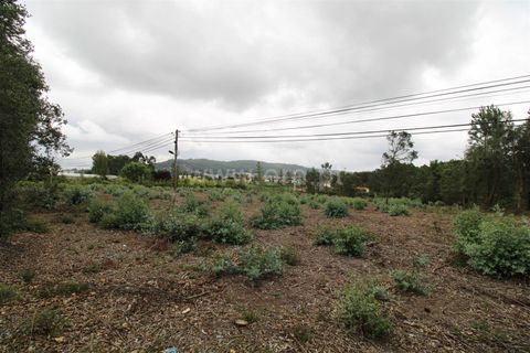 Terra a Barcelos, Braga, Barcelos - € 2.500/mes | Ref: 254240318 - foto 2