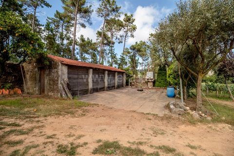 Helårsgrund i Barcelos, Braga, Barcelos - € 215.000 | Ref: 254240341 - foto 3