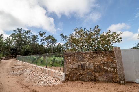 Helårsgrund i Barcelos, Braga, Barcelos - € 215.000 | Ref: 254240341 - foto 5