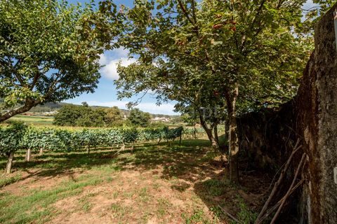 Helårsgrund i Barcelos, Braga, Barcelos - € 215.000 | Ref: 254240341 - foto 6
