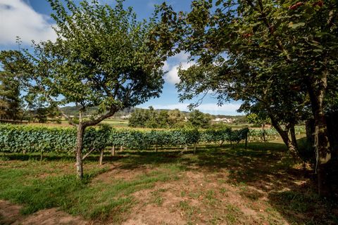 Helårsgrund i Barcelos, Braga, Barcelos - € 215.000 | Ref: 254240341 - foto 7