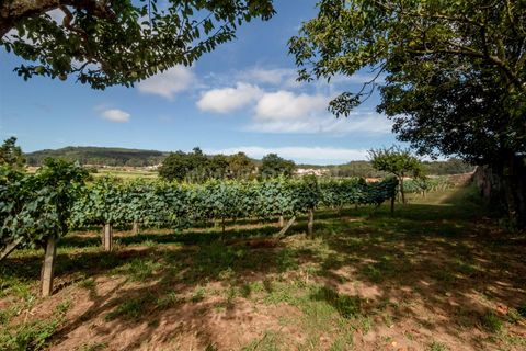 Helårsgrund i Barcelos, Braga, Barcelos - € 215.000 | Ref: 254240341 - foto 9