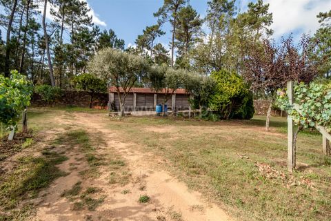 Helårsgrund i Barcelos, Braga, Barcelos - € 215.000 | Ref: 254240341 - foto 10