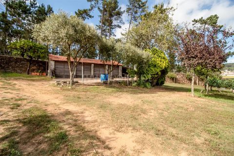 Helårsgrund i Barcelos, Braga, Barcelos - € 215.000 | Ref: 254240341 - foto 11