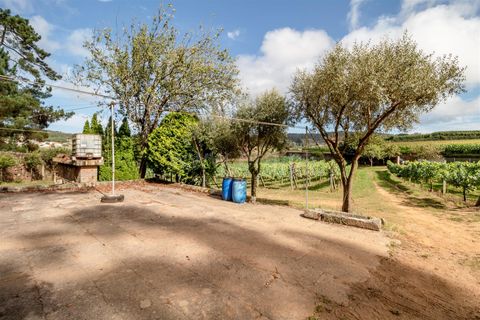 Helårsgrund i Barcelos, Braga, Barcelos - € 215.000 | Ref: 254240341 - foto 13