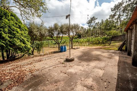 Helårsgrund i Barcelos, Braga, Barcelos - € 215.000 | Ref: 254240341 - foto 14