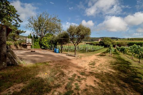 Helårsgrund i Barcelos, Braga, Barcelos - € 215.000 | Ref: 254240341 - foto 15